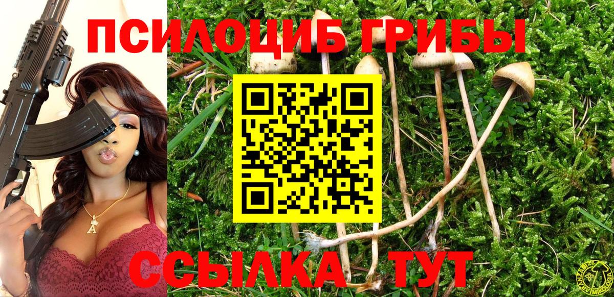 Кострома  Галлюциногенные грибы прущие грибы  Псилоцибиновые грибы Cubensis  Вход с VPN 